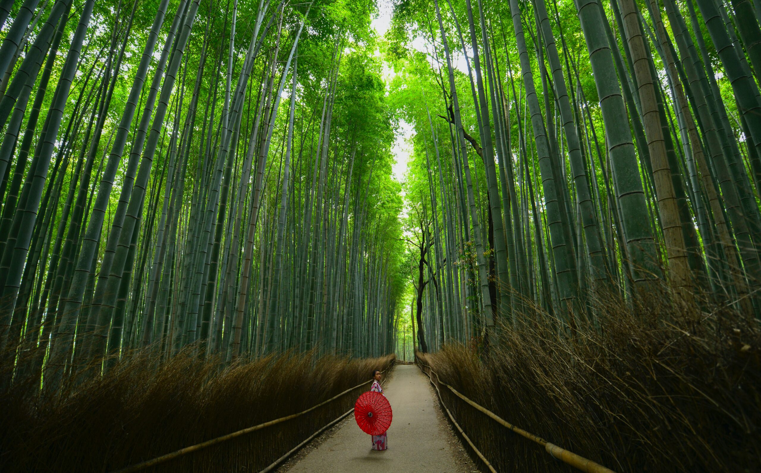 Traveler experiencing the value of choosing Japan Mexico or Morocco over Europe summer 2026